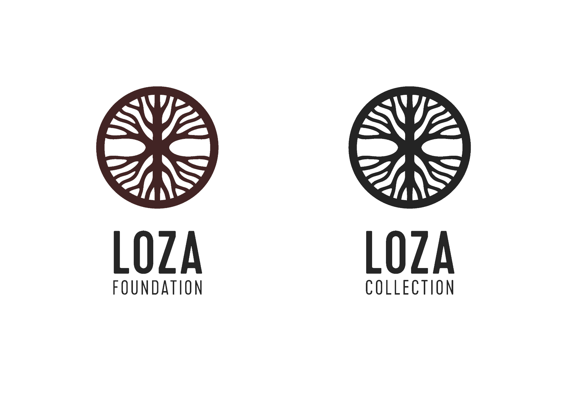 Loza Foundation - Bild 7