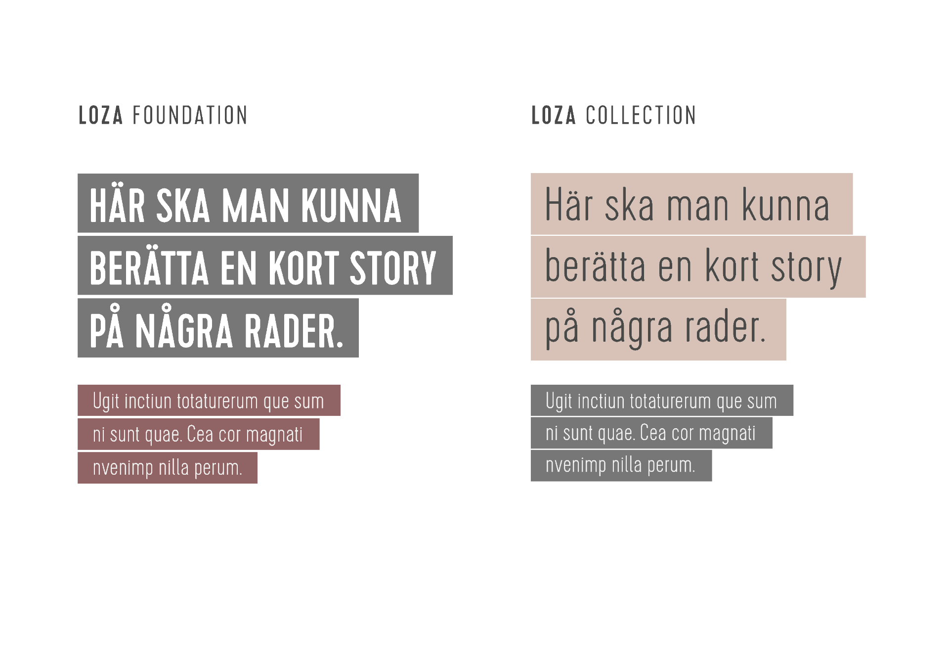 Loza Foundation - Bild 4
